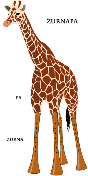 What is the etymology of the word giraffe?