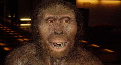 What is the meaning of the name hominin?
