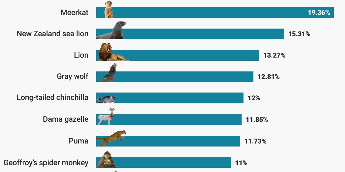 What is the most homicidal animal?