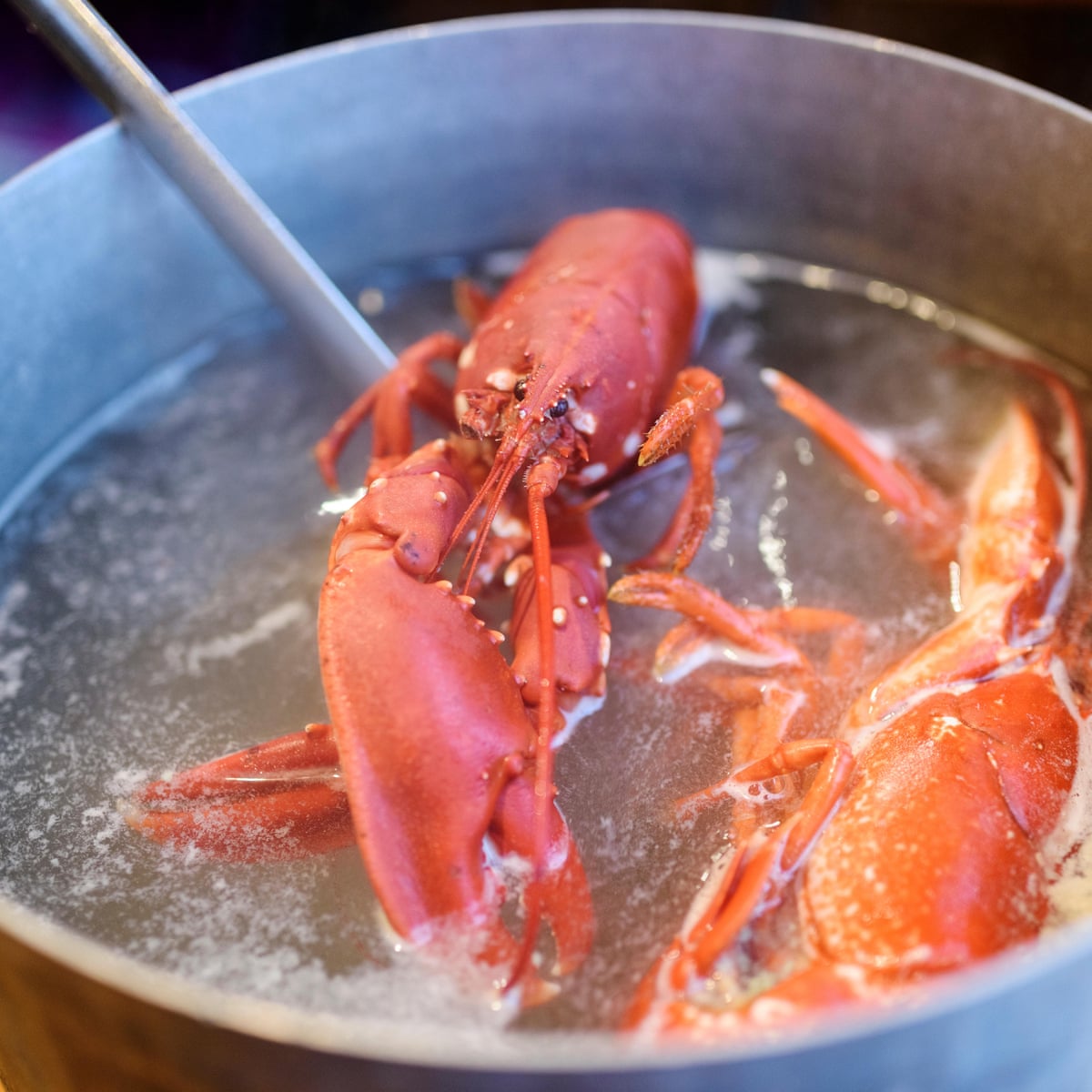 What is wrong with Red Lobster's lobster?