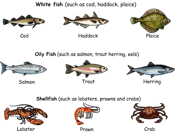 What kind of food do different types of fish eat?