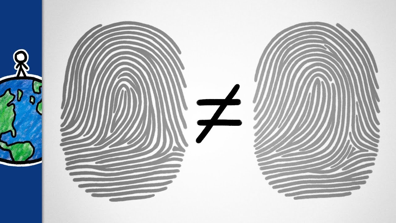 What makes a fingerprint unique?