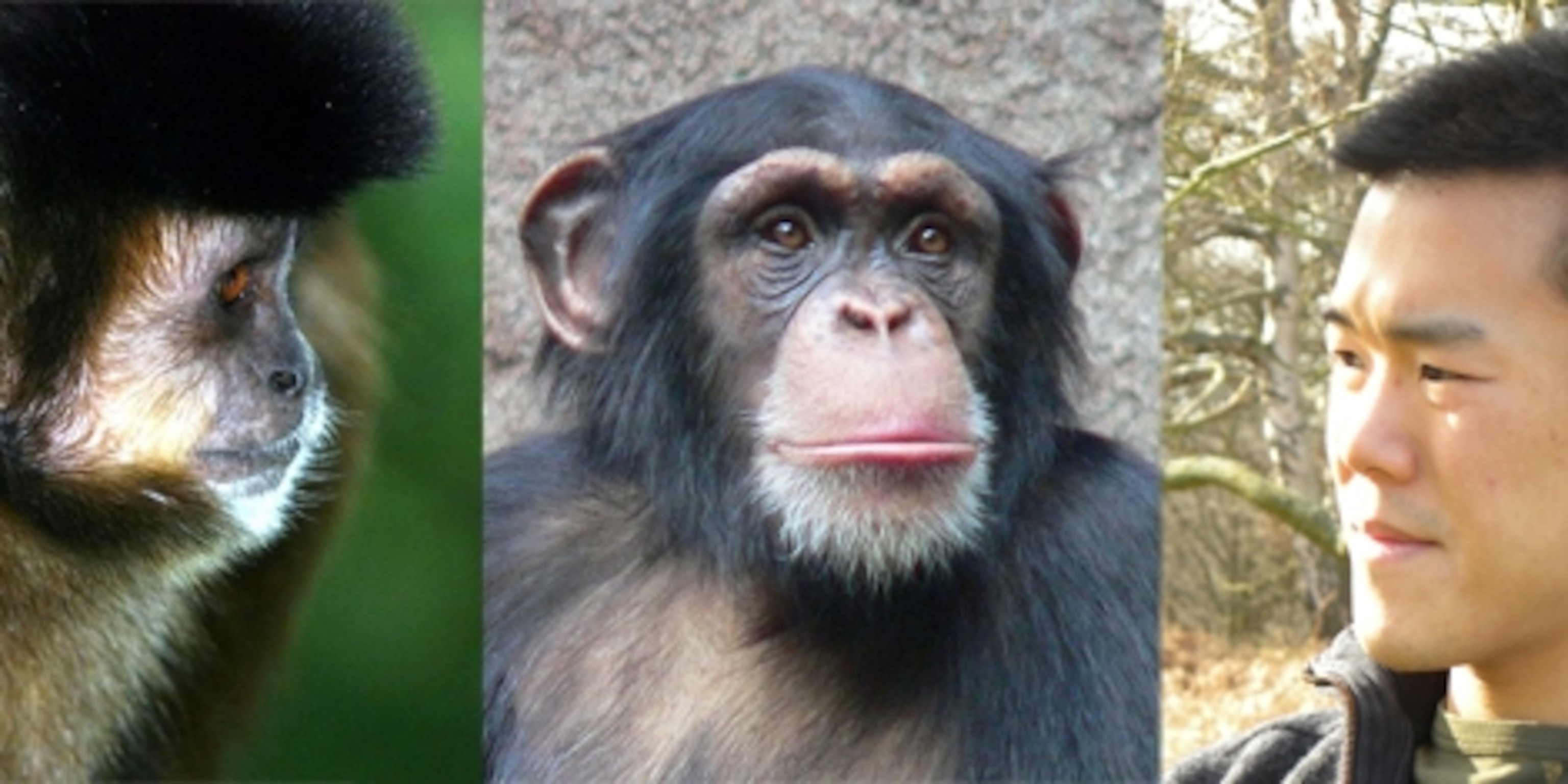 What makes monkeys different from humans?