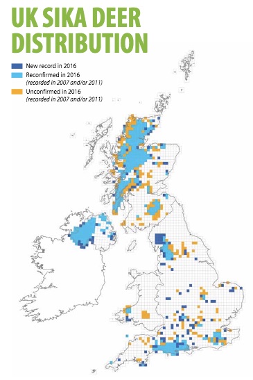 Where do sika deer live in the UK? Where do sika deer live in the UK?
