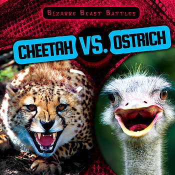 Who would win in a race a cheetah or a ostrich?
