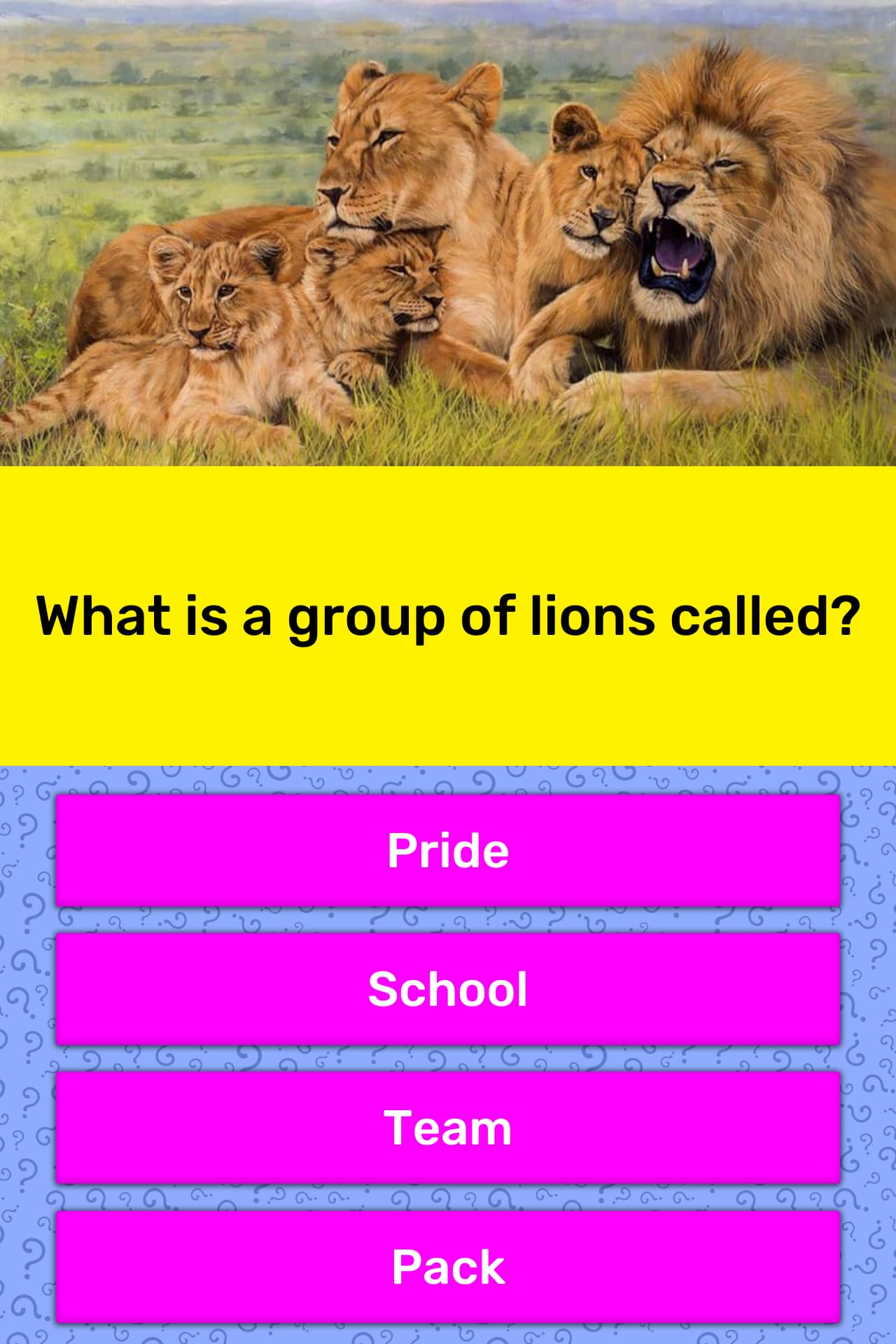 A group of lions is known as?