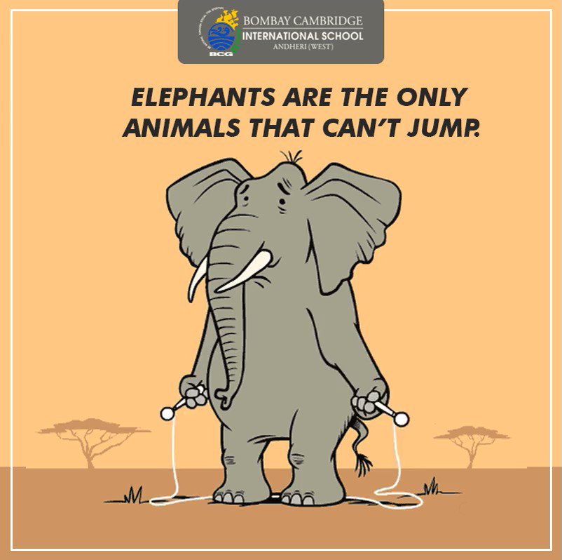 Are elephants really the only animal that can't jump?