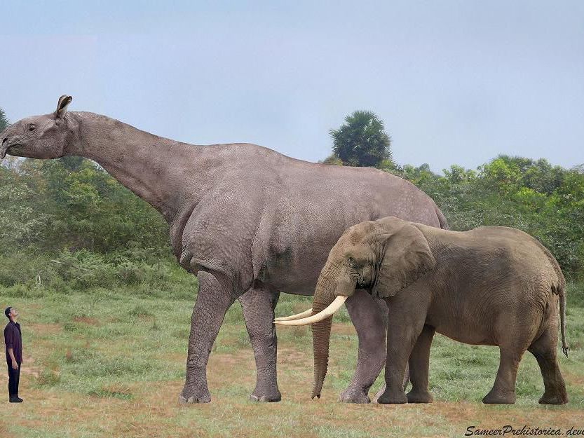 Are elephants the biggest mammals?
