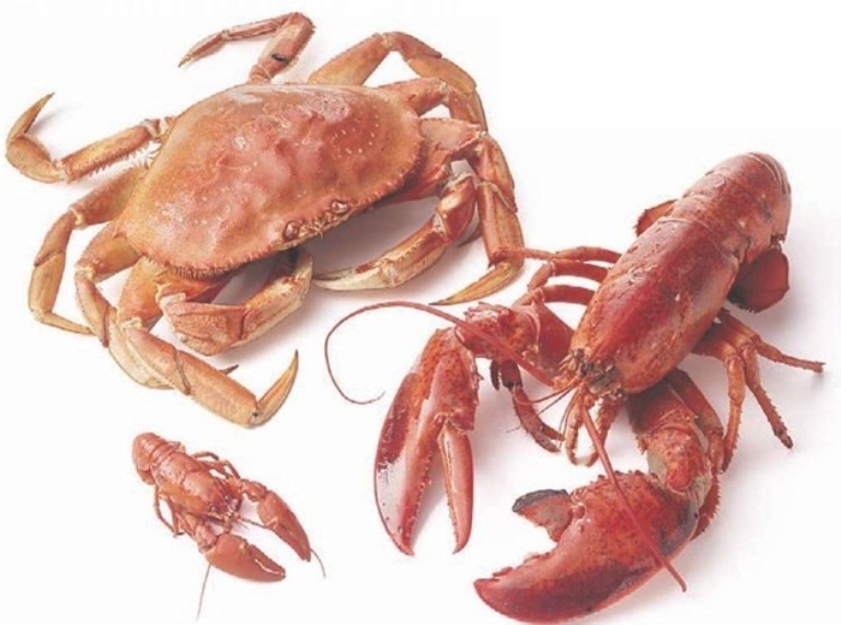 Are lobsters considered crabs?