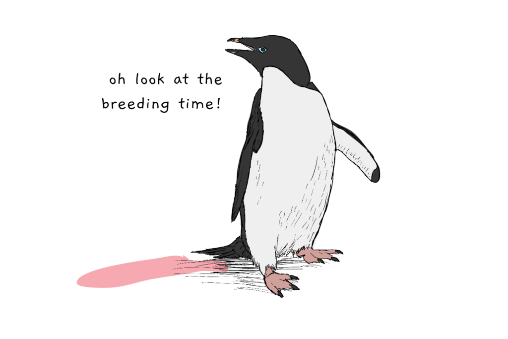 Are penguins poop pink?