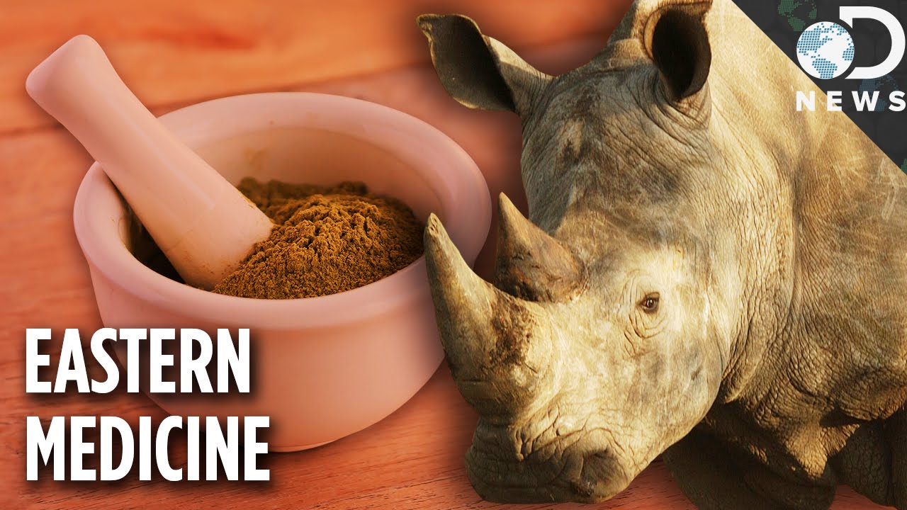 Are rhino horns used for medicine?