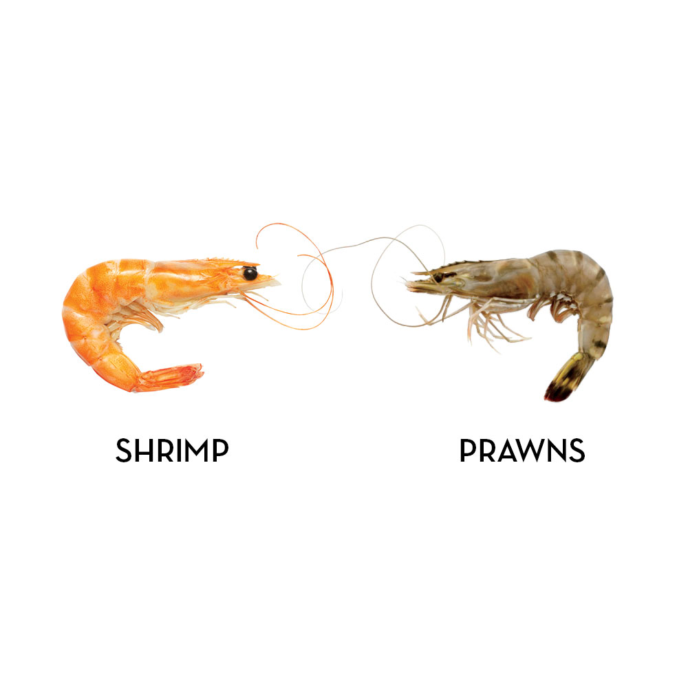 Are shrimp and prawn the same thing?