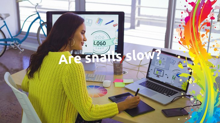 Are snails slow?
