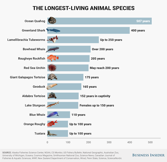 Are there any animals that outlive humans?