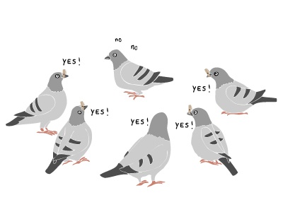 Can a pigeon fart?