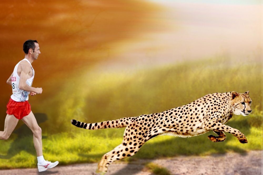 Can any human run faster than cheetah?