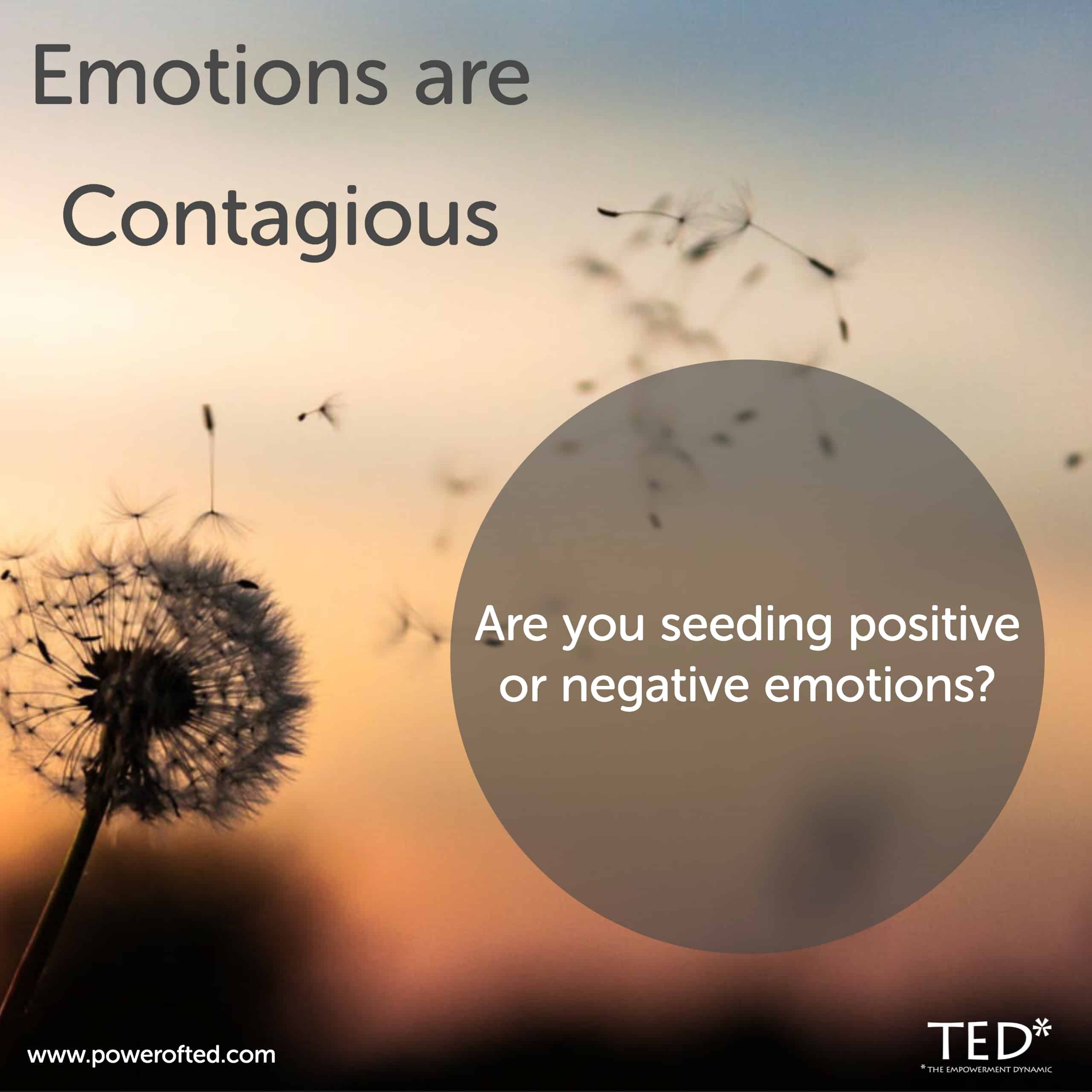 Can emotions be contagious?