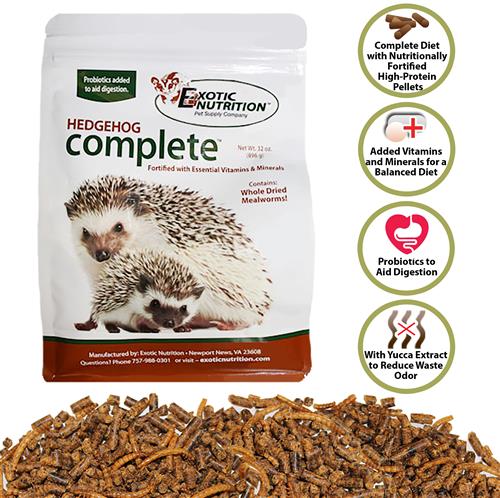 Can I feed freeze-dried insects to my Pet hedgehogs?