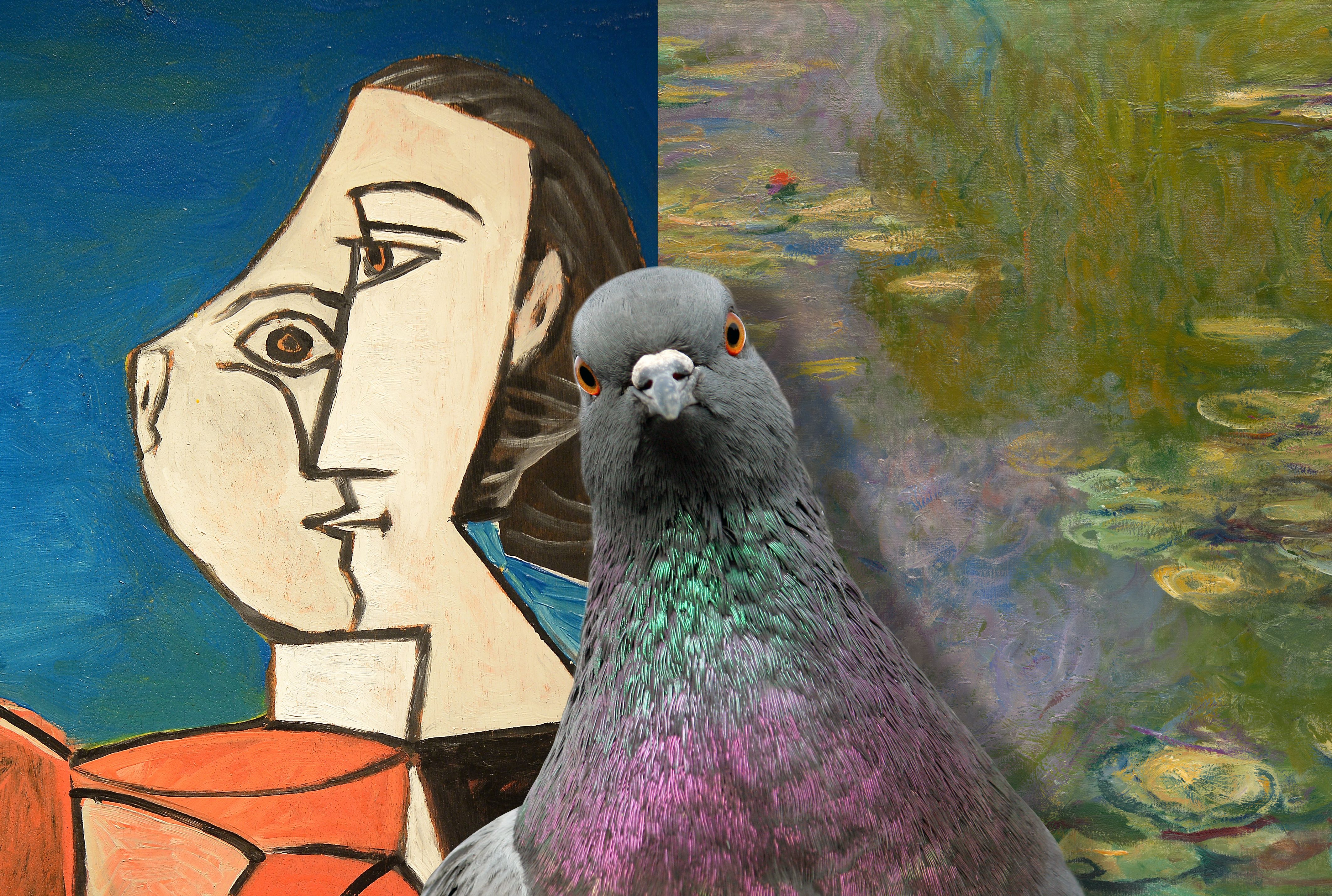 Can pigeons tell a Picasso from a Monet?