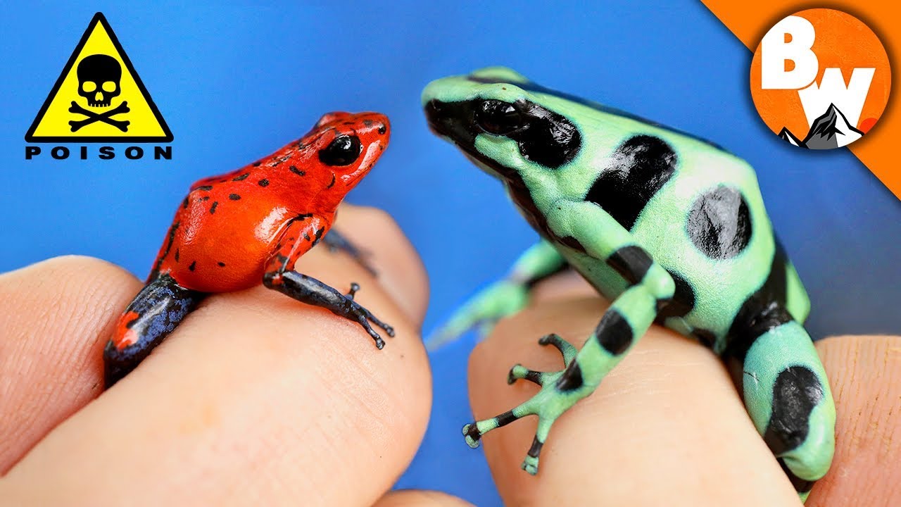 Can poisonous frogs kill you?