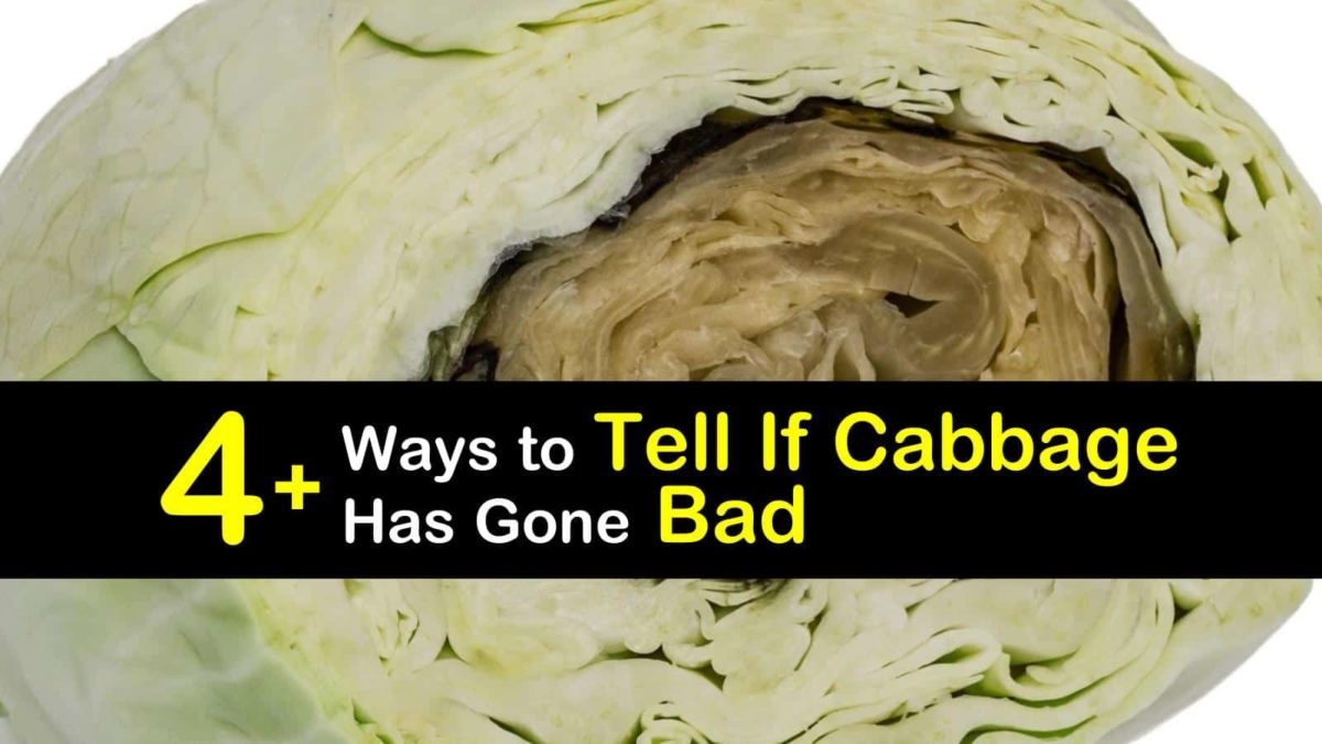 Can you eat cabbage when it turns white?