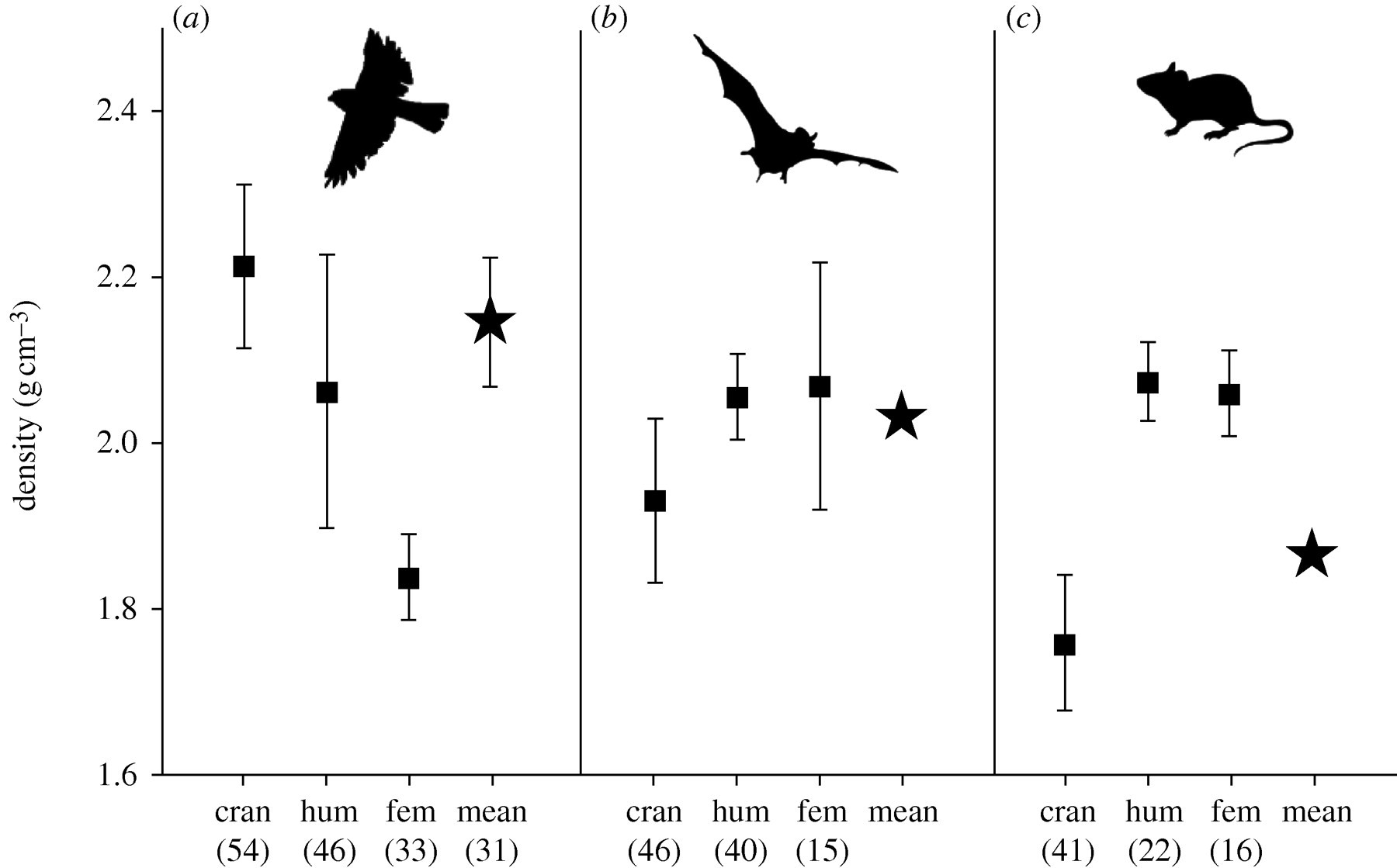 Do birds have low bone density?