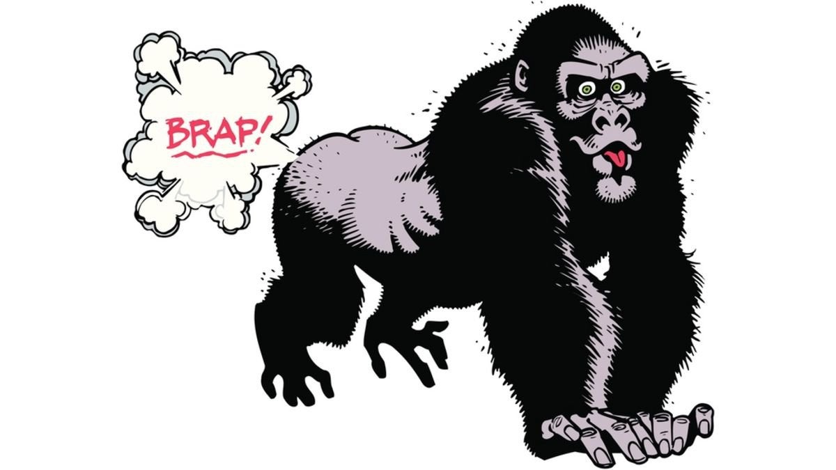 Do chimps fart?