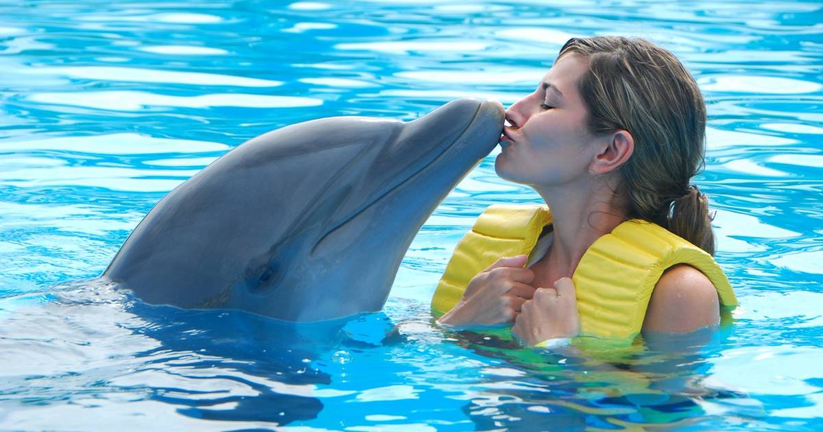 Do Dolphins suffer from psychosis?