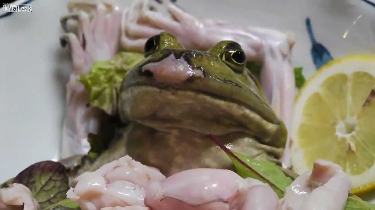 Do frogs live in Japan?