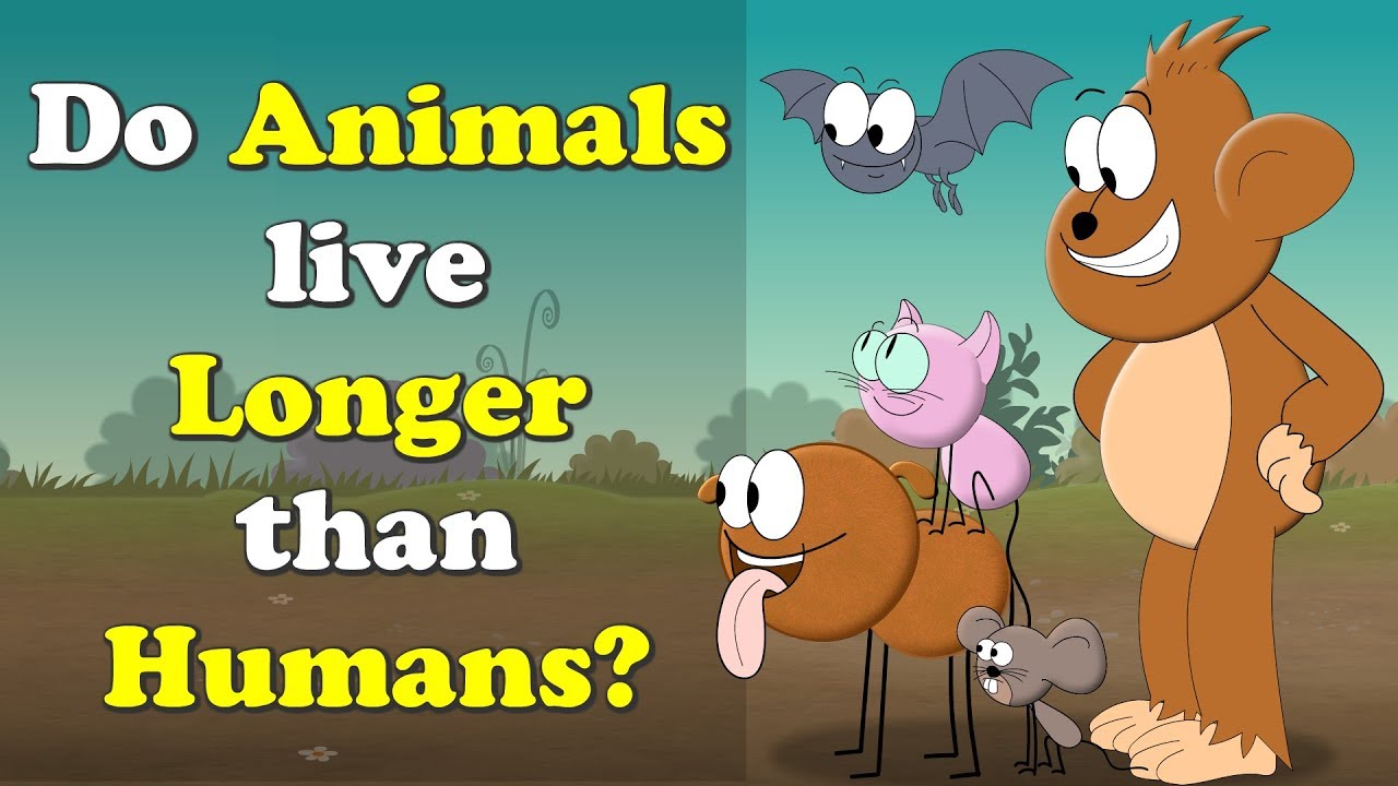 Do humans live longer than other animals?