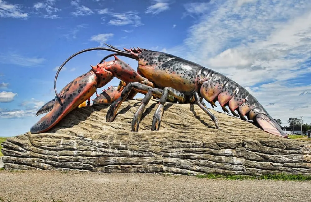 Do lobsters have uneven claws?
