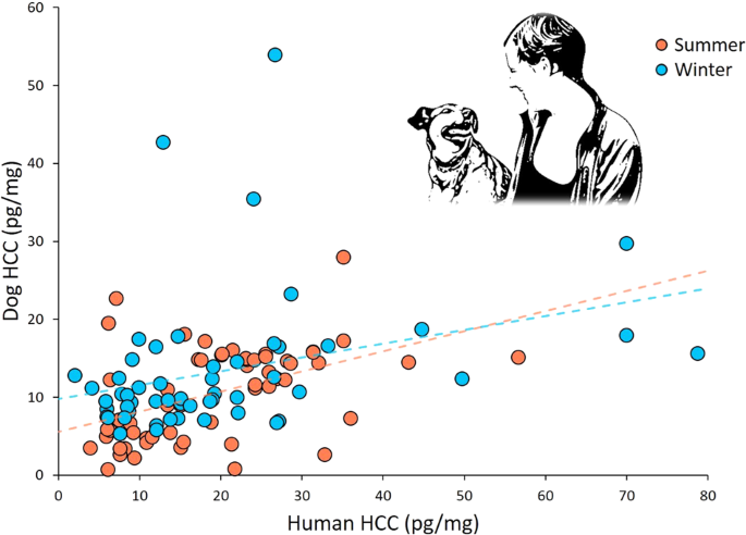 Do pet owners have less stress?