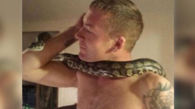 Do pythons attack their owners?