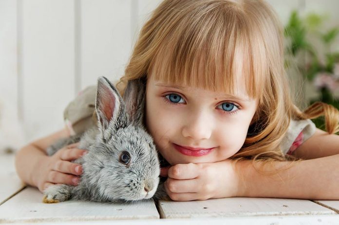 Do rabbits feel love for their owners?