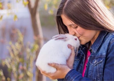 Do rabbits understand human kisses?