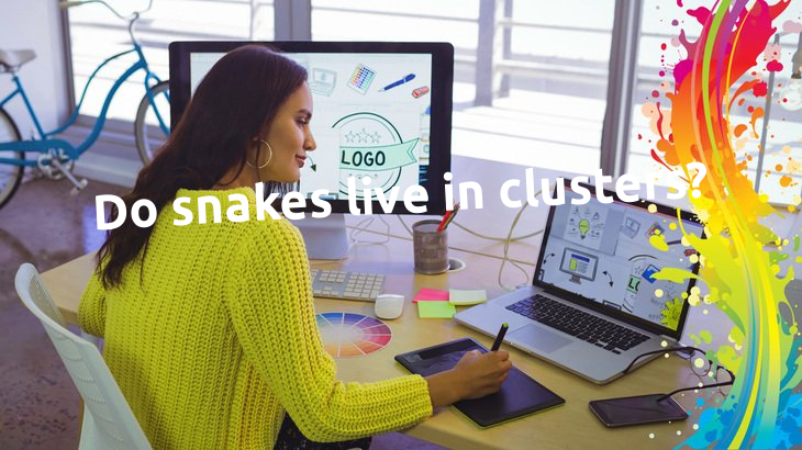 Do snakes live in clusters?
