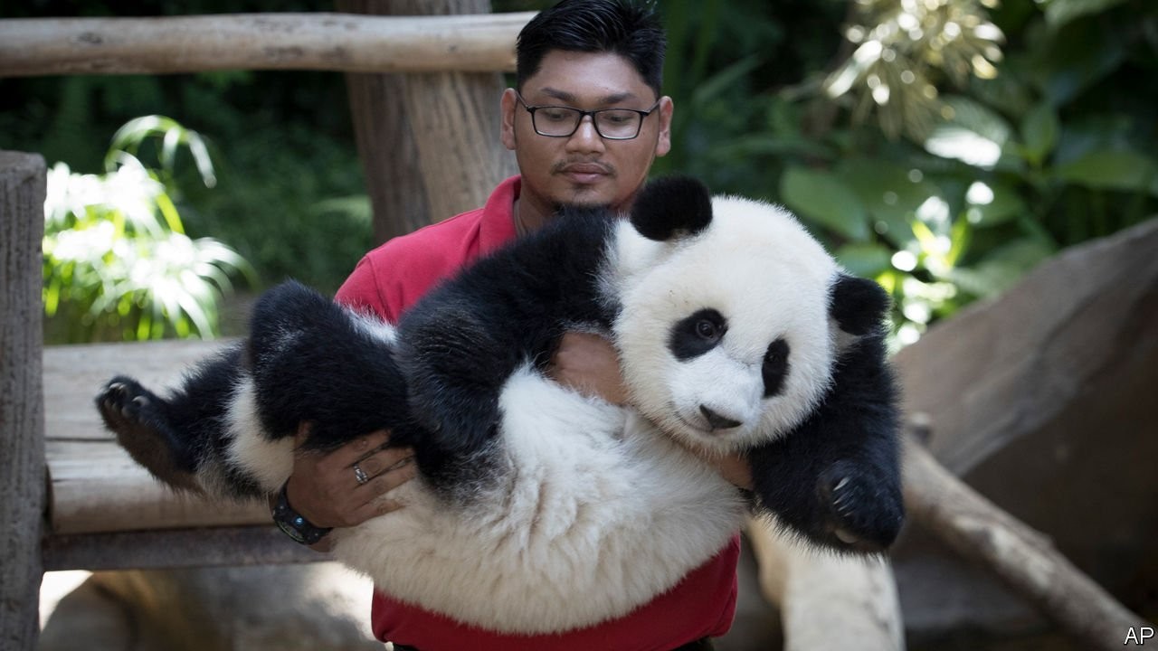 Do zoos have to pay China for pandas?