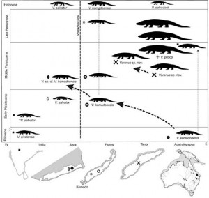 How are Komodo dragons related to their ancestors?