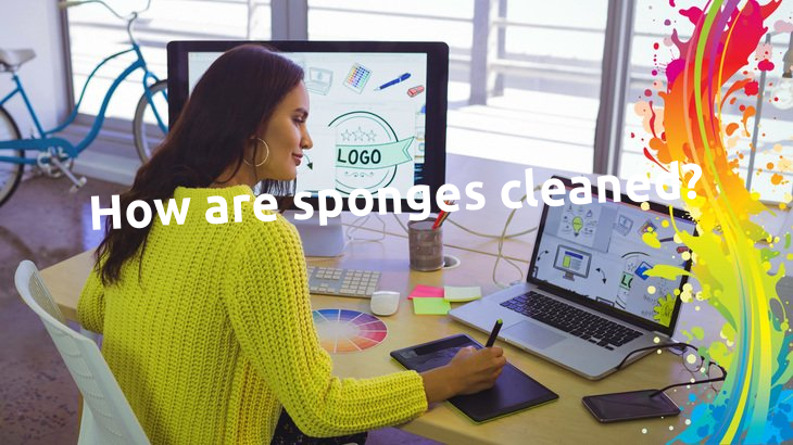 How are sponges cleaned?