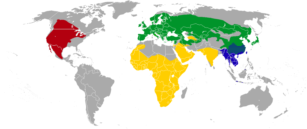 How big is a badger territory?