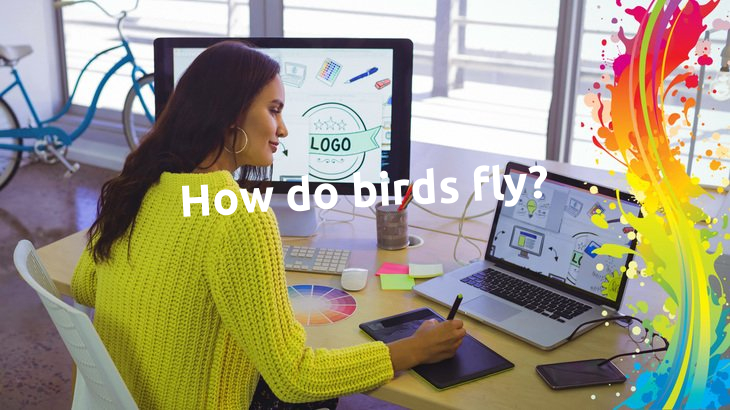 How do birds fly?