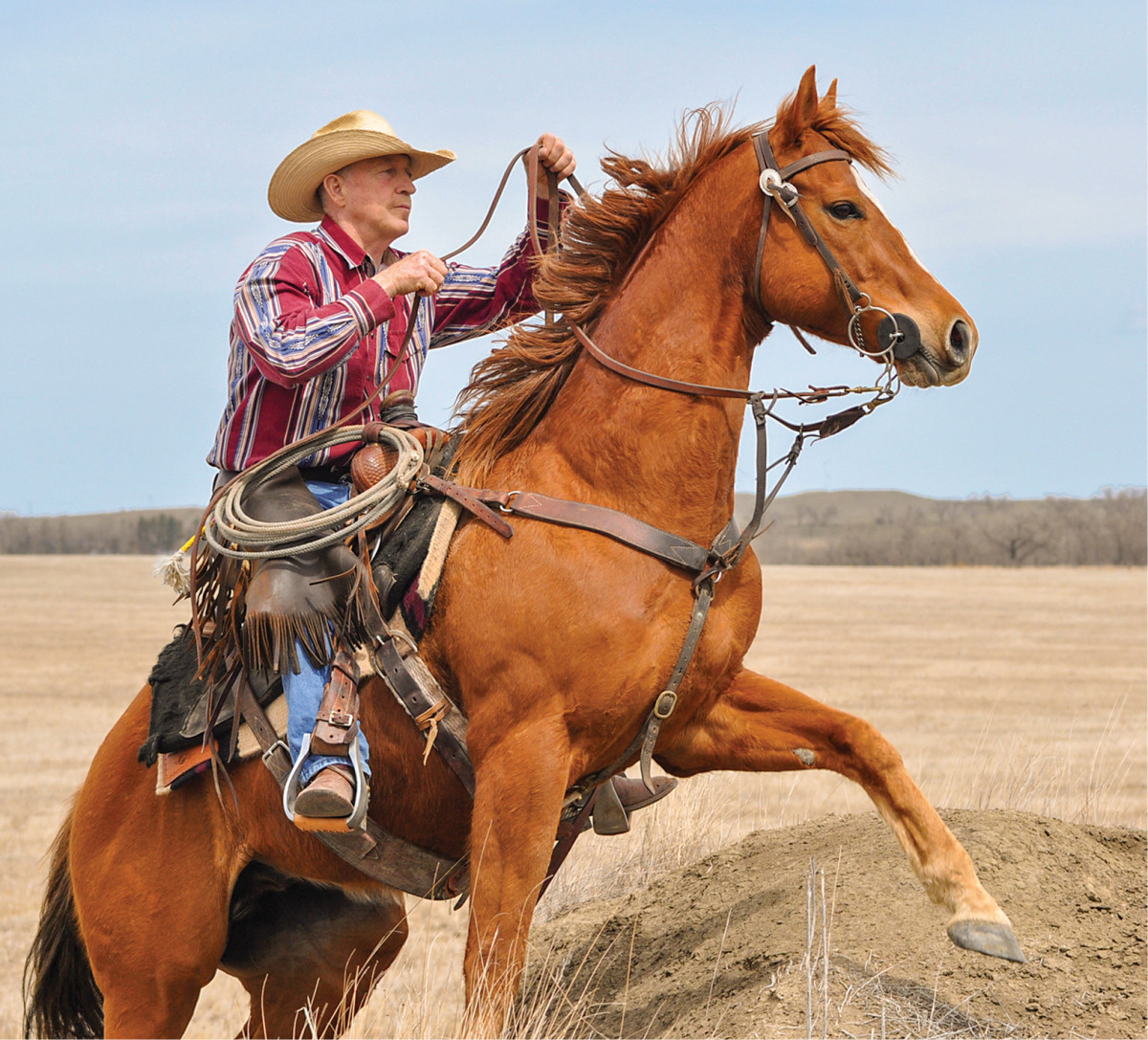 How do cowboys ride horses on a ranch?