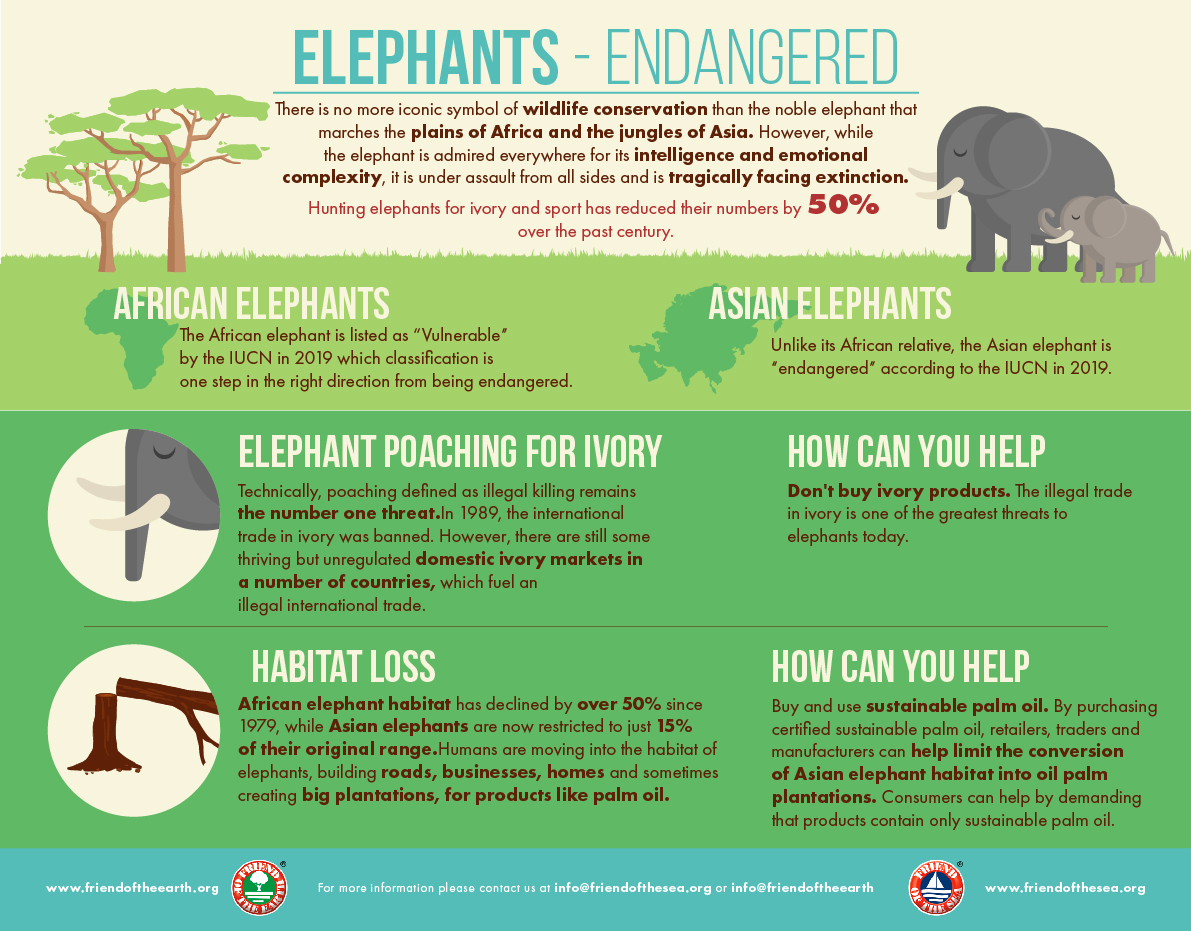 How do elephants help the environment?