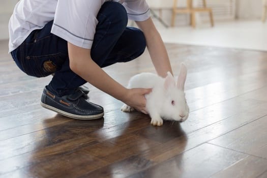 How do I get my Rabbit to let me pet him?