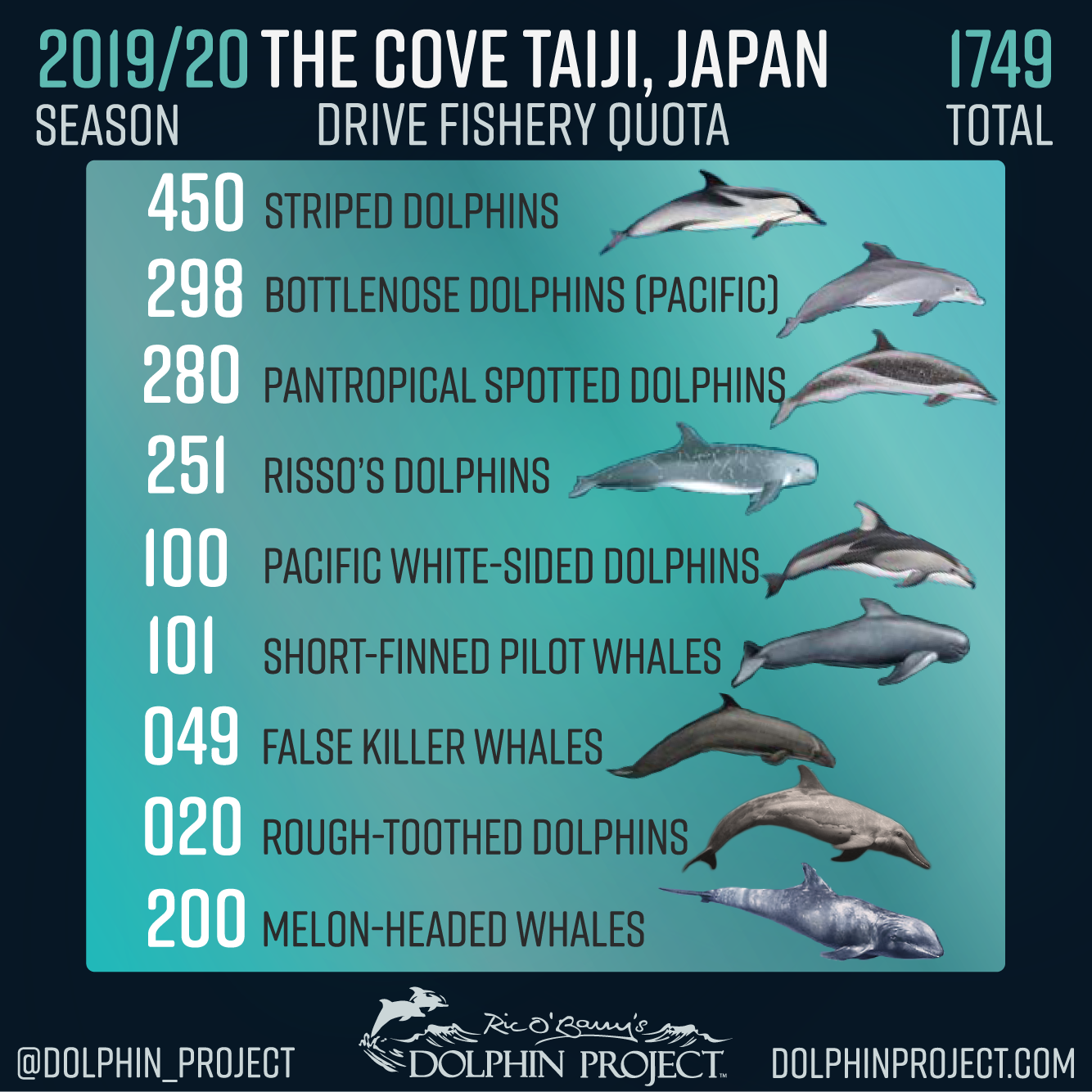 How do they kill the dolphins in Taiji?