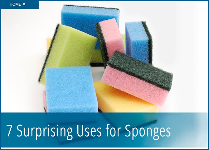 How do you deal with a sponge?