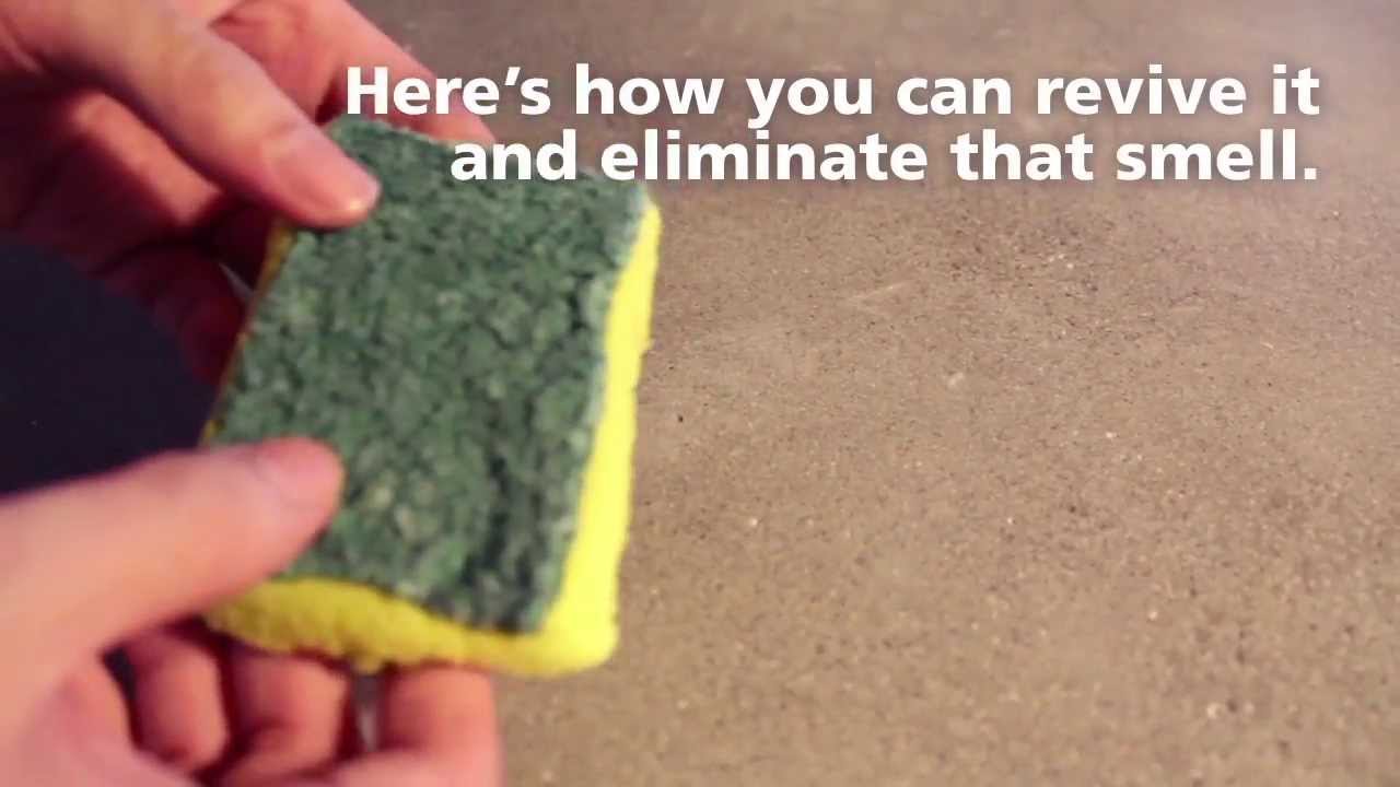 How do you revive a sponge?