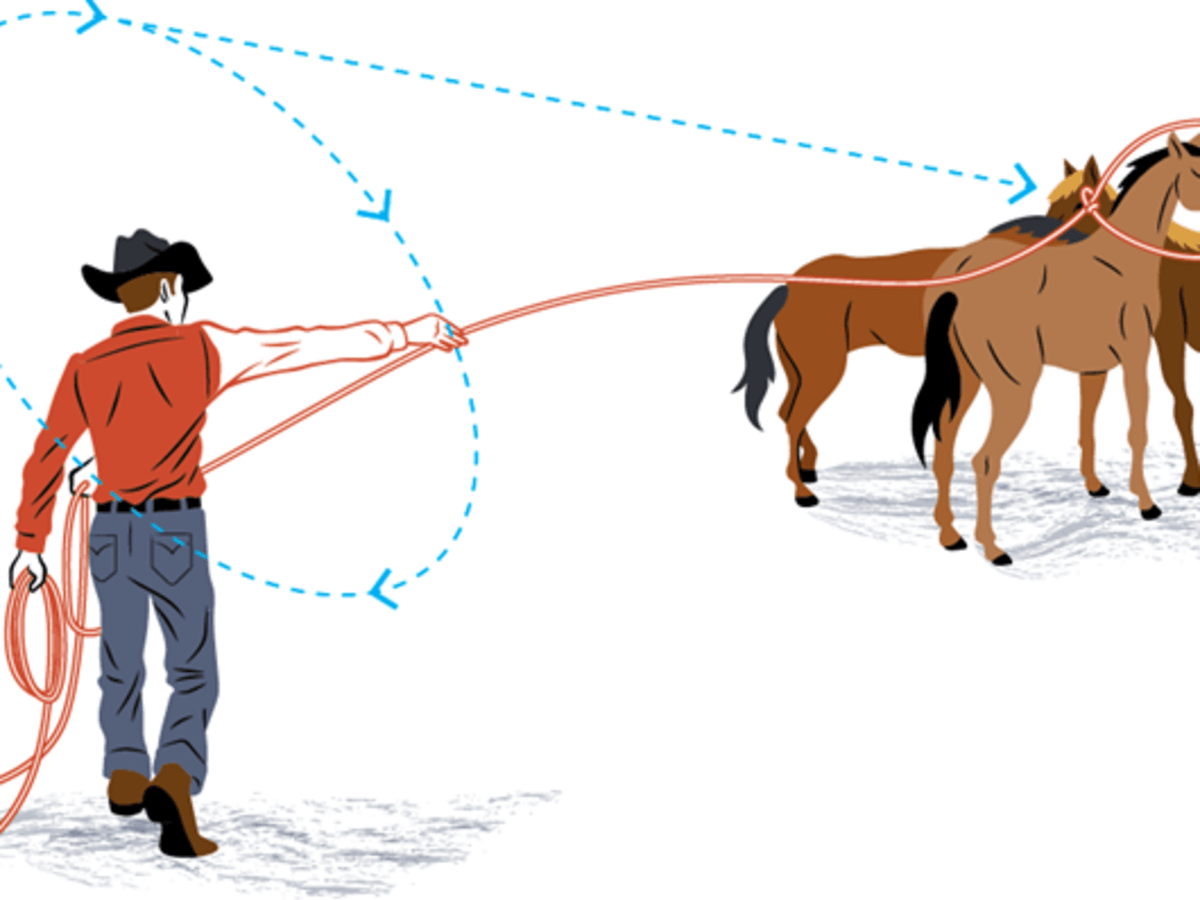 How do you rope up a Cavvy horse?