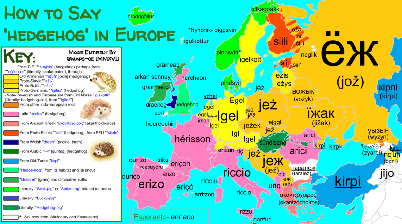 How do you say 'Hedgehog' in other languages?