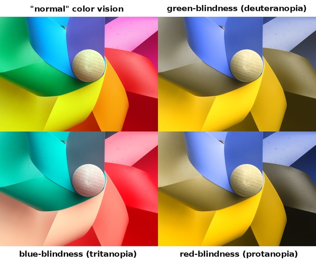 How does blindness affect perception?